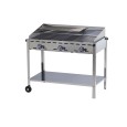 Gasbarbeque Grill System Green Fire
