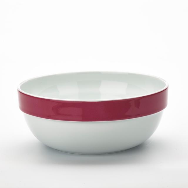 Schaal Colour$ Paars 360cc/120x50mm