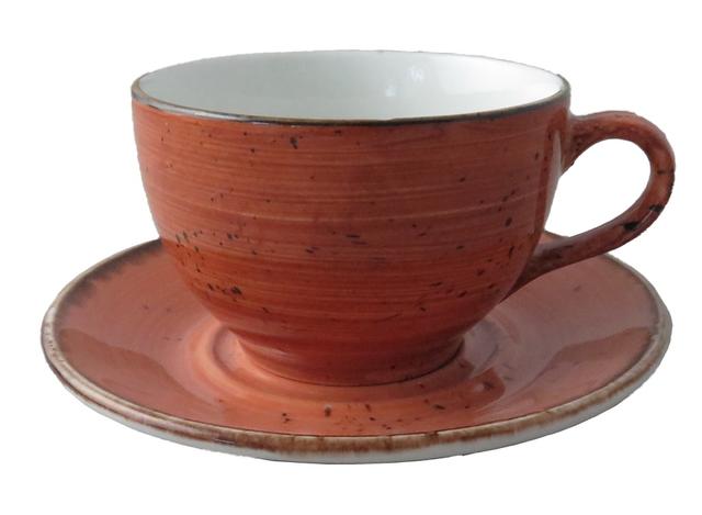 Theekop Rustic terra 230cc