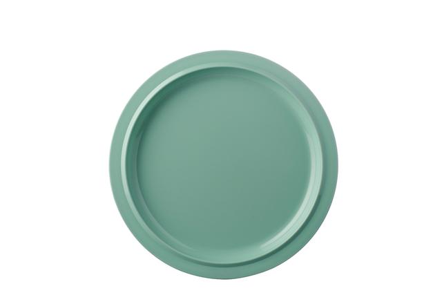 Bord diner retro groen 246mm