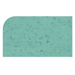 Dienblad Versa Tray Magic Mint 1/2 Gn