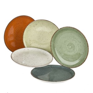 Dinerbord Mix 5 kleuren