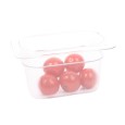 Gastronormbak 1/9-100mm