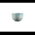 Bowl Spot Saphire 450cc