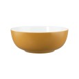 Foodbowl Life Amber Gold 200mm