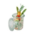 Weckpotjes met deksels glas 160cc