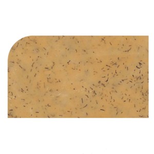 Dienblad Versa Tray Magic Yellow 1/2 Gn