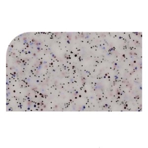 Dienblad Versa Lite Granite 1/1 Gn