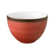 Bowl CFD Fantastic steenrood 500cc