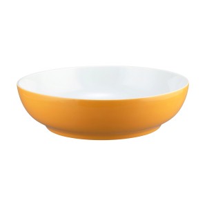 Bowl oranje 250mm