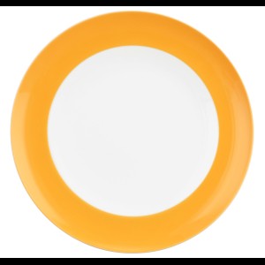 Bord oranje 270mm